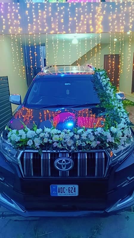 Decorations Decor 17