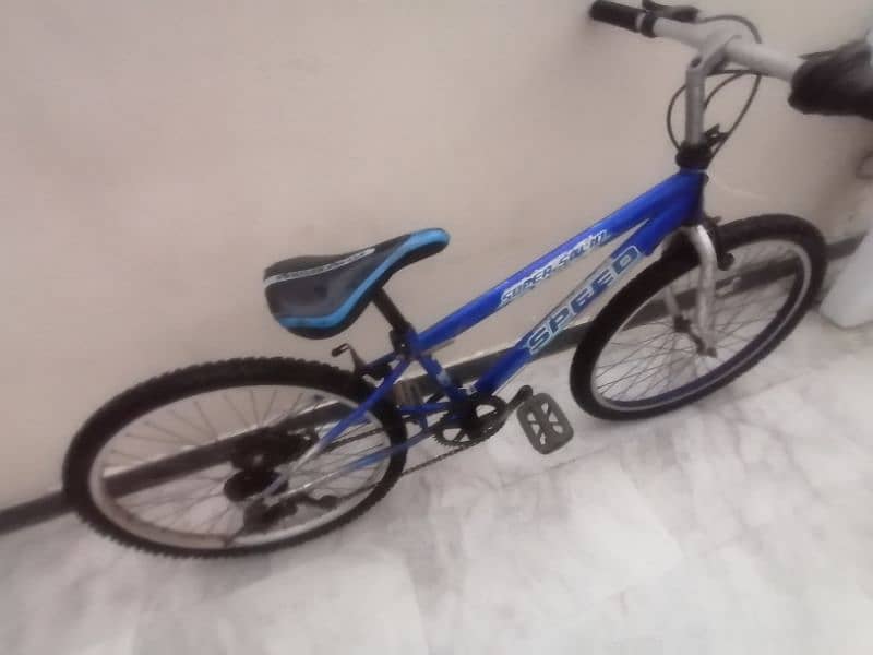 bicycle 1