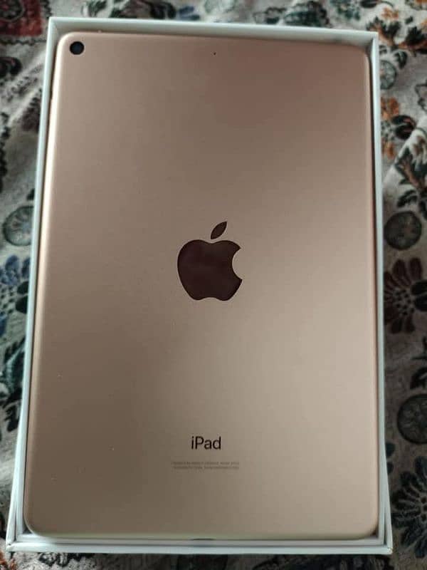 iPad Mini 5 Full Box 64GB 1