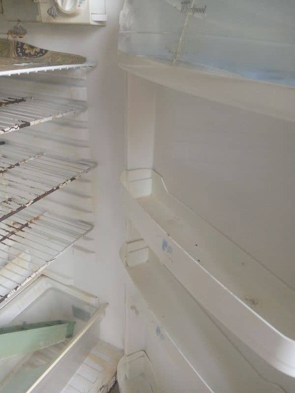Full size Fridge 2