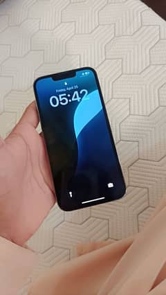 iPhone 13pro