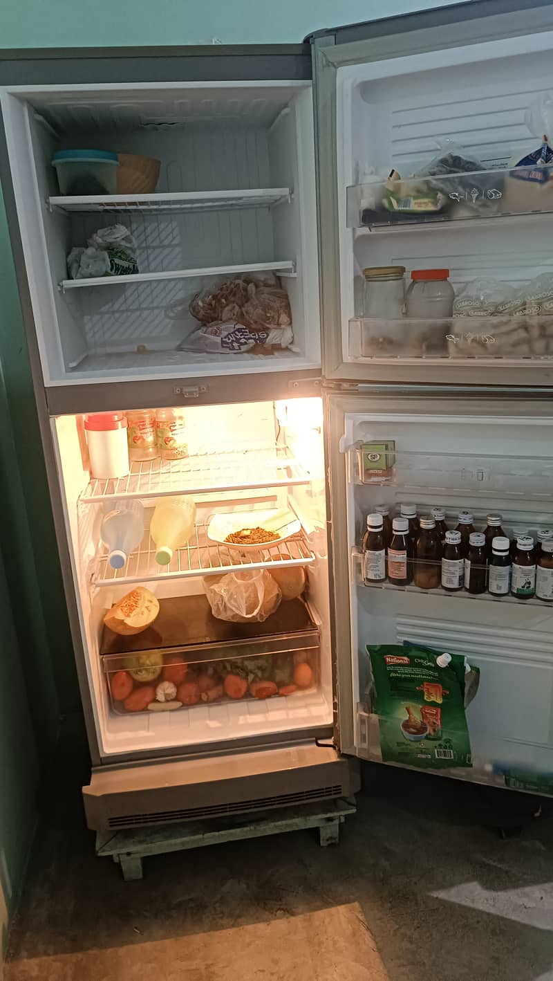 Pel refrigerator 12 cubic 1