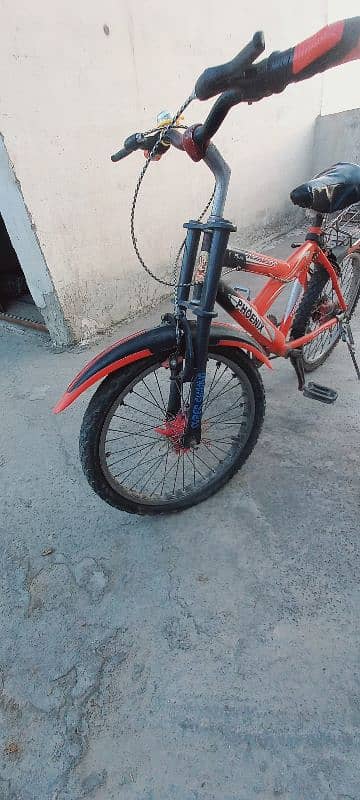 Phoenix cycle 1