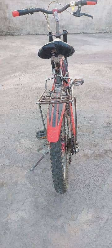 Phoenix cycle 2