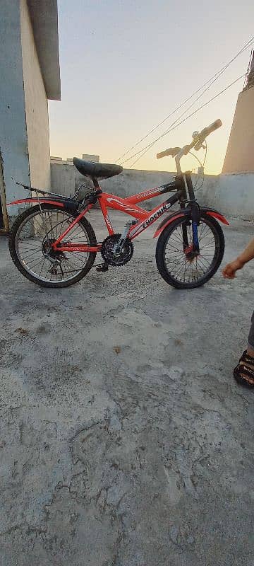 Phoenix cycle 4