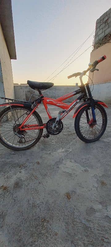 Phoenix cycle 5