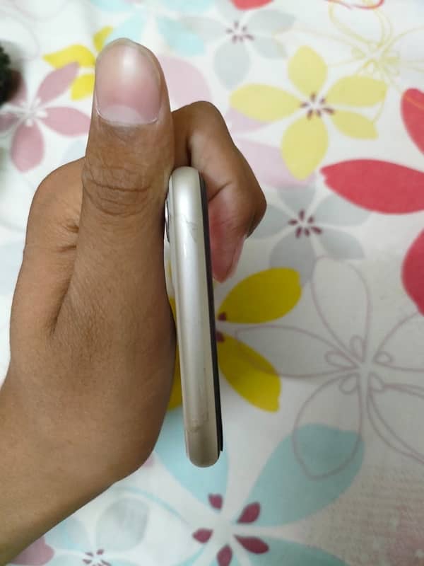 iPhone 11 3