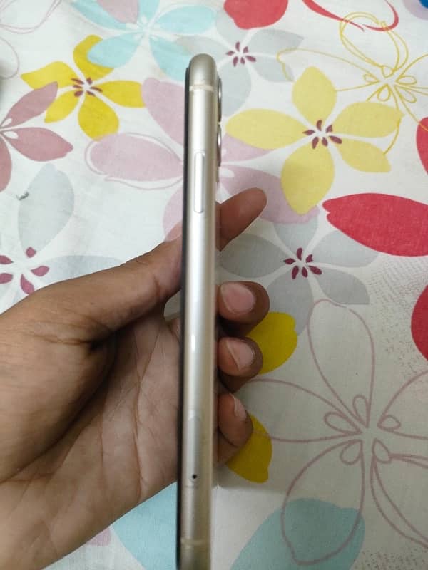 iPhone 11 4
