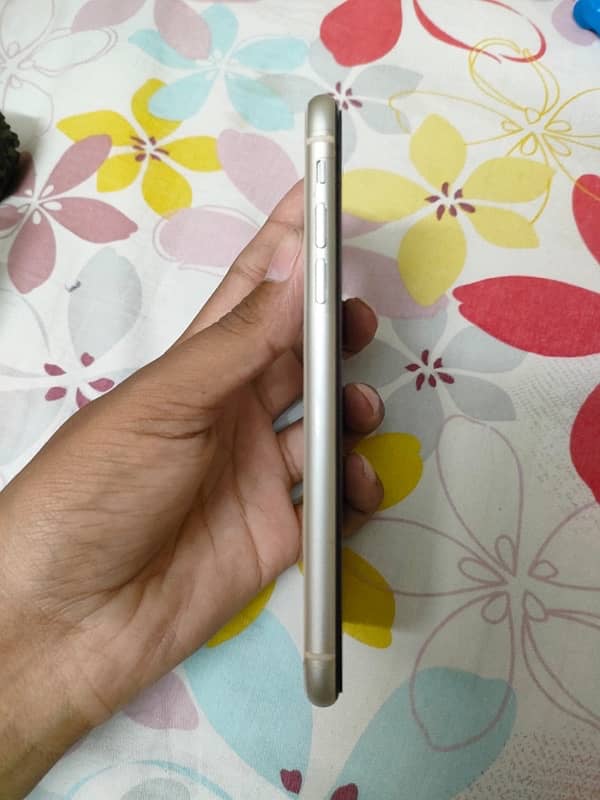 iPhone 11 5