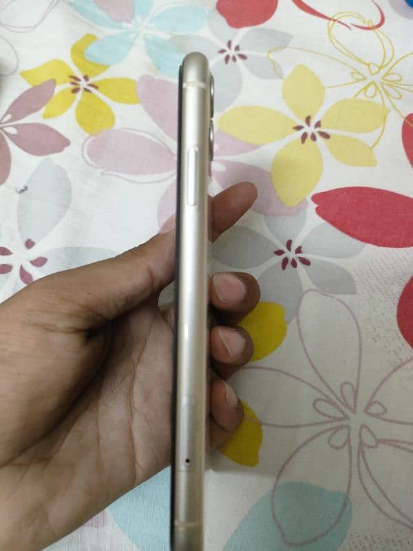 iPhone 11 Jv 1