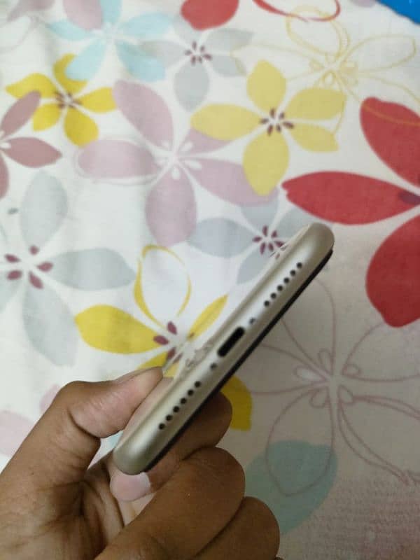 iPhone 11 Jv 5