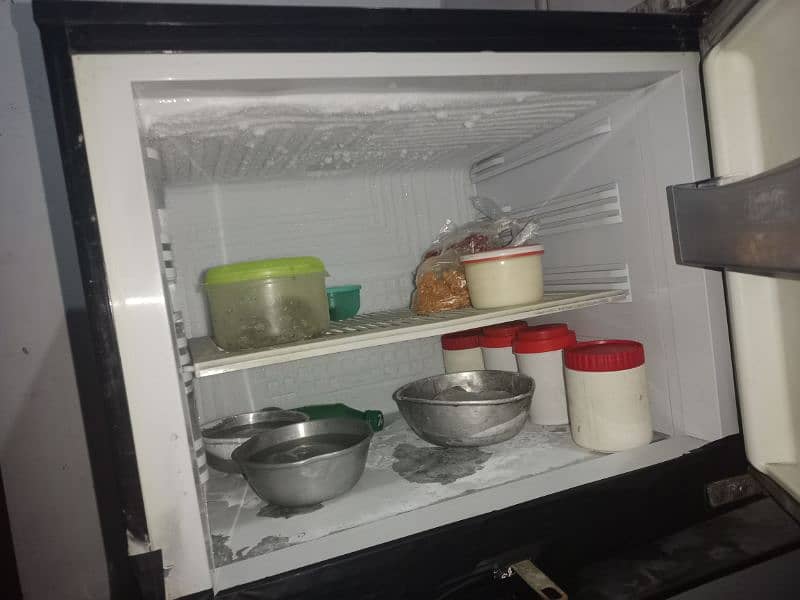 Pel Large Size Refrigerator 1
