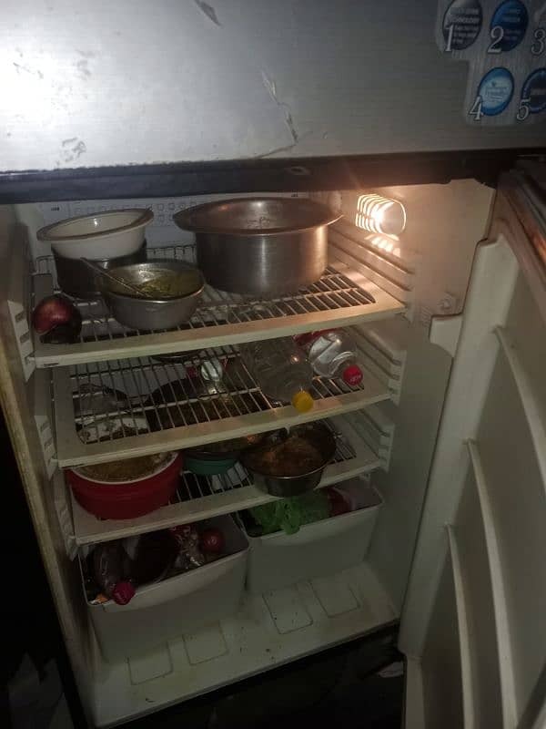 Pel Large Size Refrigerator 3