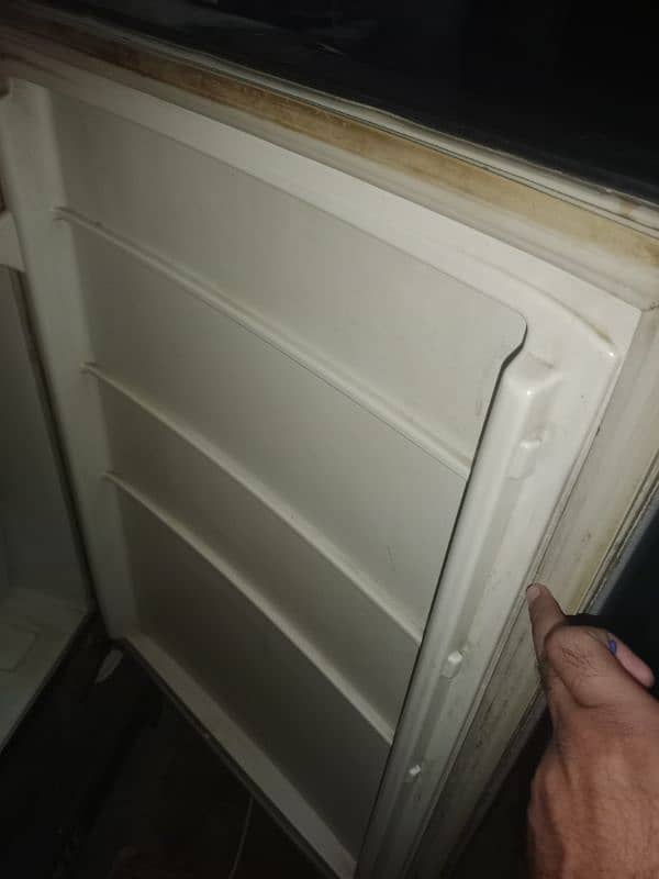 Pel Large Size Refrigerator 4