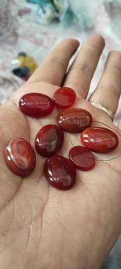 ایک پتھر کی خریداری پر ایک پتھر گفٹ حاصل کریں