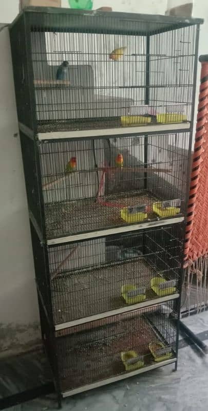 Birds cage for sale 1
