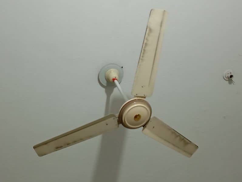 2 master fan 1 zam zam fan 0