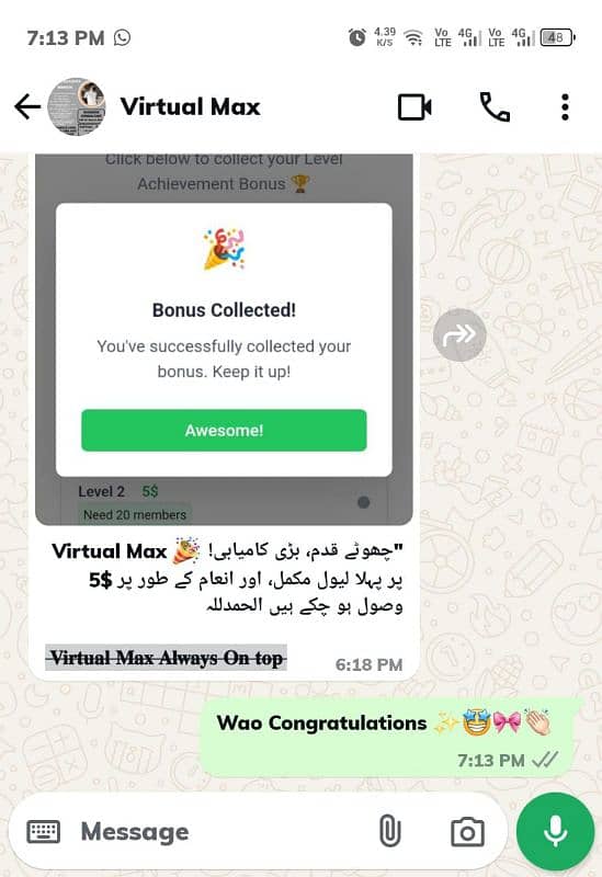 virtual max 6