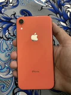 IphoneXR