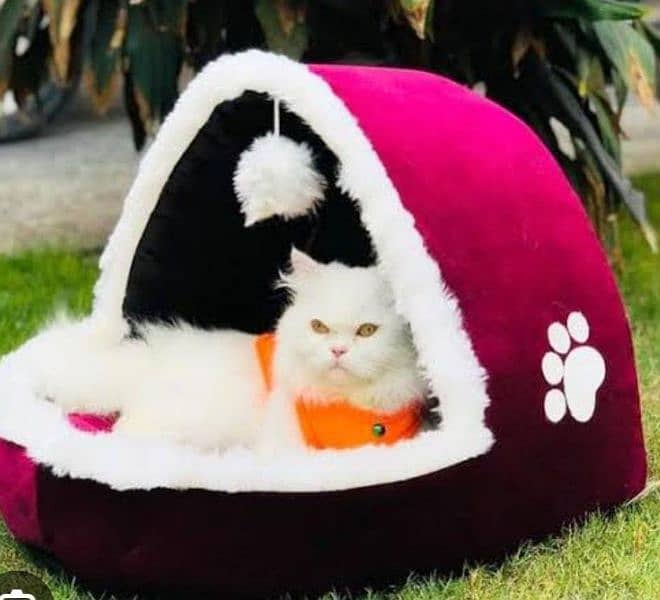 cat house 0