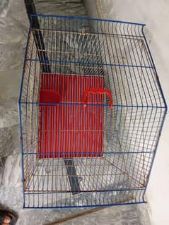 birds cage