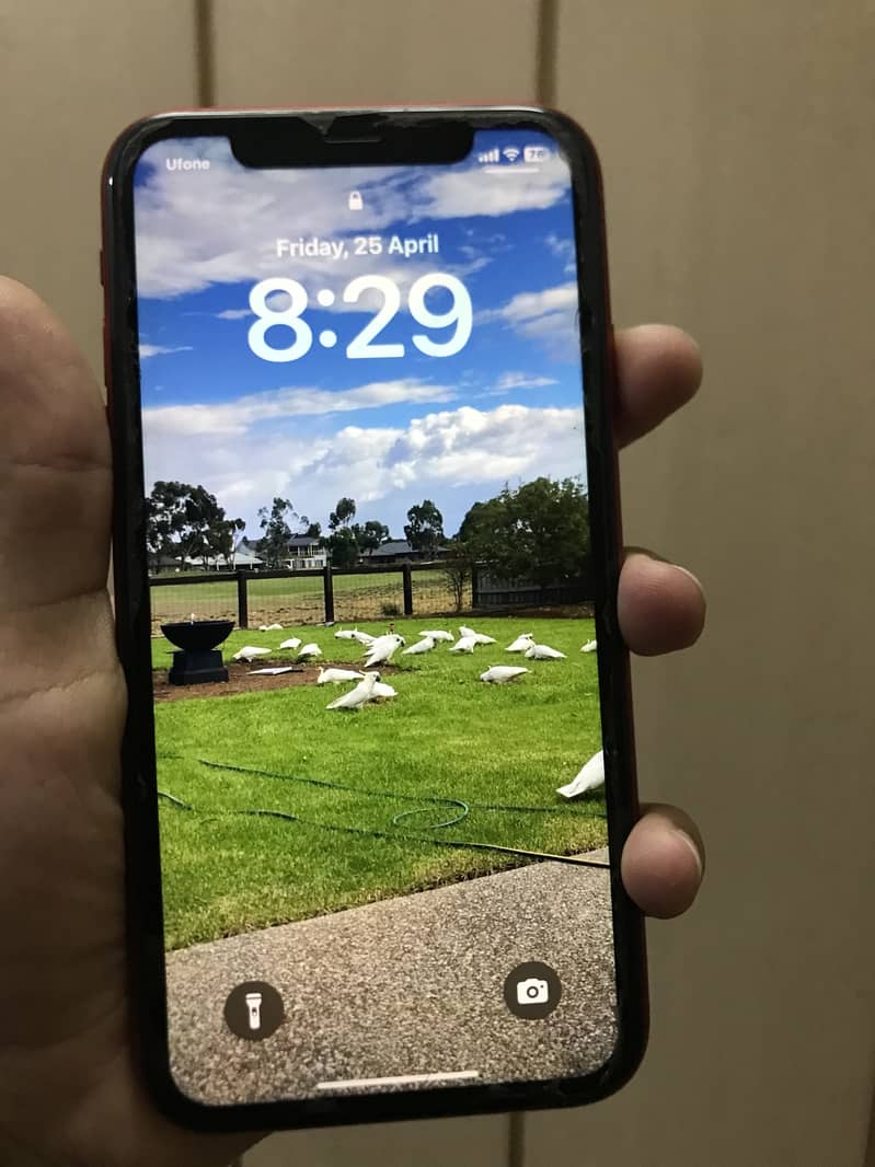 iPhone 11 128 GB PTA APPROVED 9
