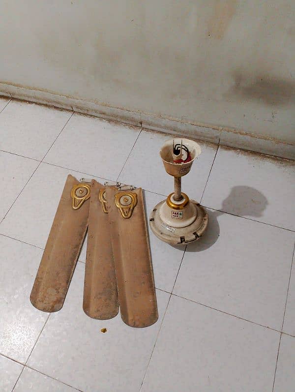 Pak fan ceiling fan 3