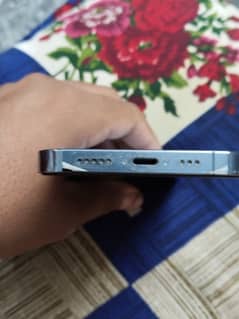 13pro