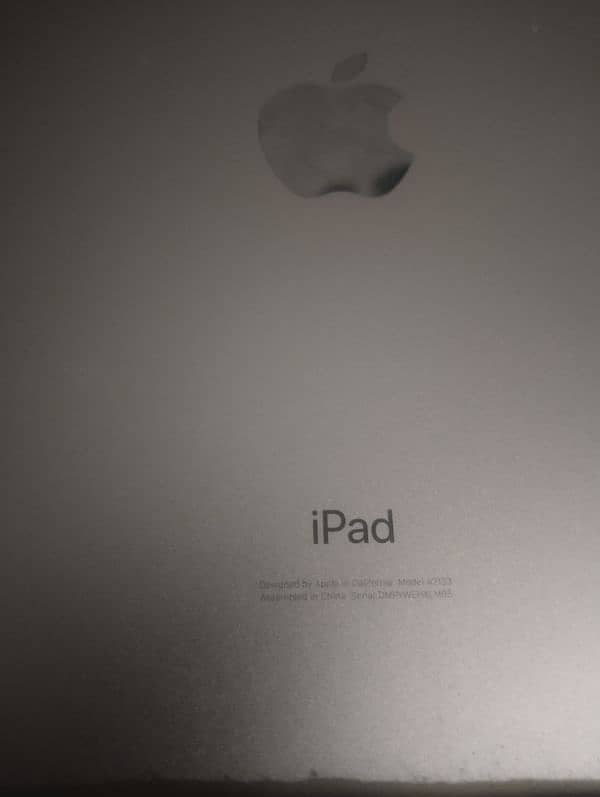 Ipad mini 5 box and charger 0