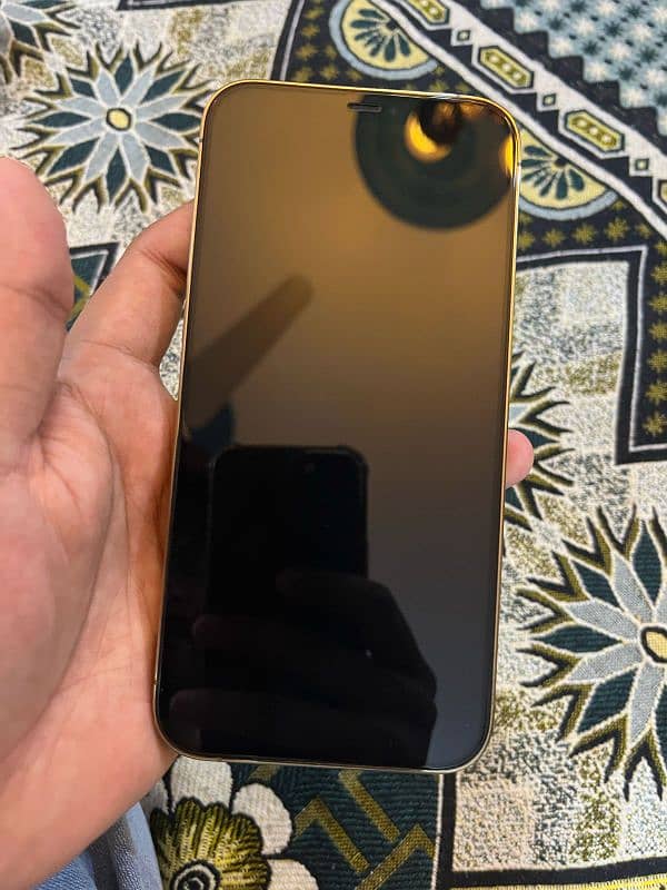 iPhone 12 Pro Max PTA 2