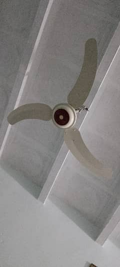 gfc fancy fan for sell