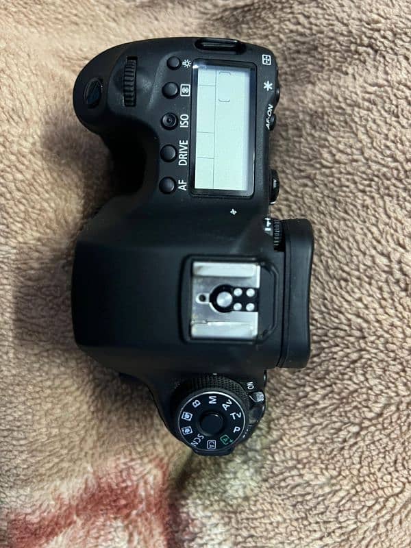 6D Canon DSLR 2