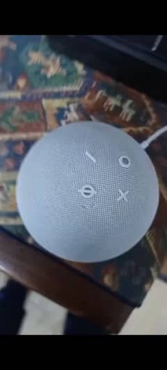 Echo