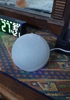 Echo