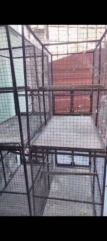Birds Cage 0