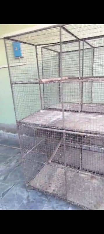 Birds Cage 1