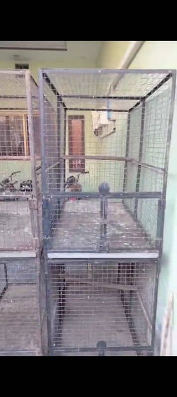 Birds Cage 3