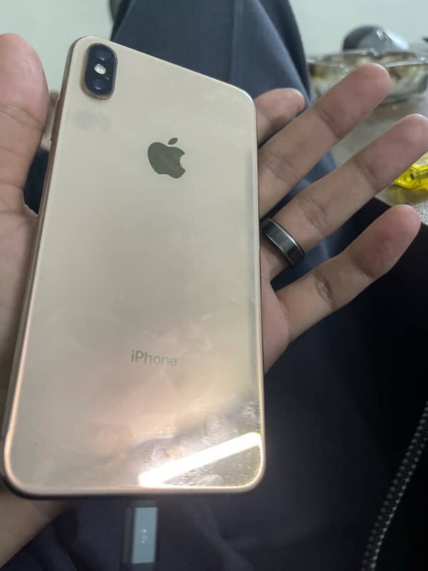 iphone xs max 256gb panel issue 1