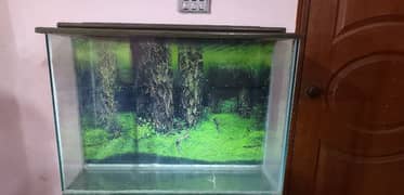 FISH AQUARIUM BIG SIZE