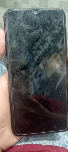 vivo