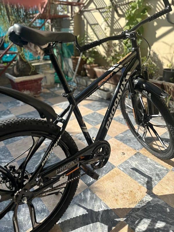 cycle original phoenix full size 2