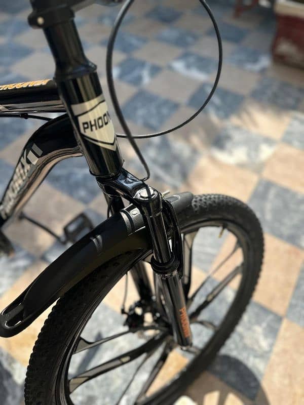 cycle original phoenix full size 5