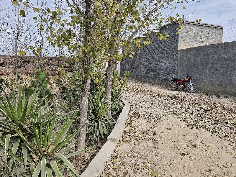3 Kanal Warehouse/Yard Available For Rent 1