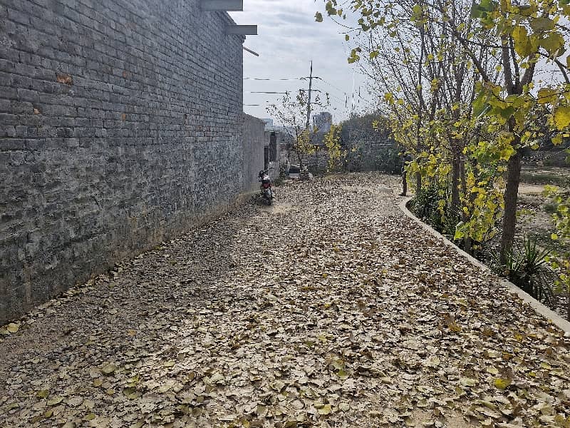 3 Kanal Warehouse/Yard Available For Rent 4