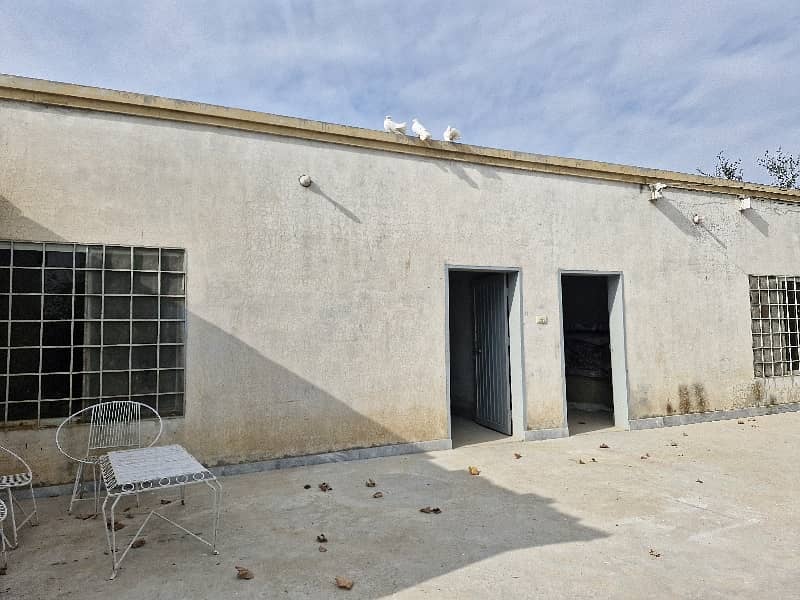 3 Kanal Warehouse/Yard Available For Rent 6