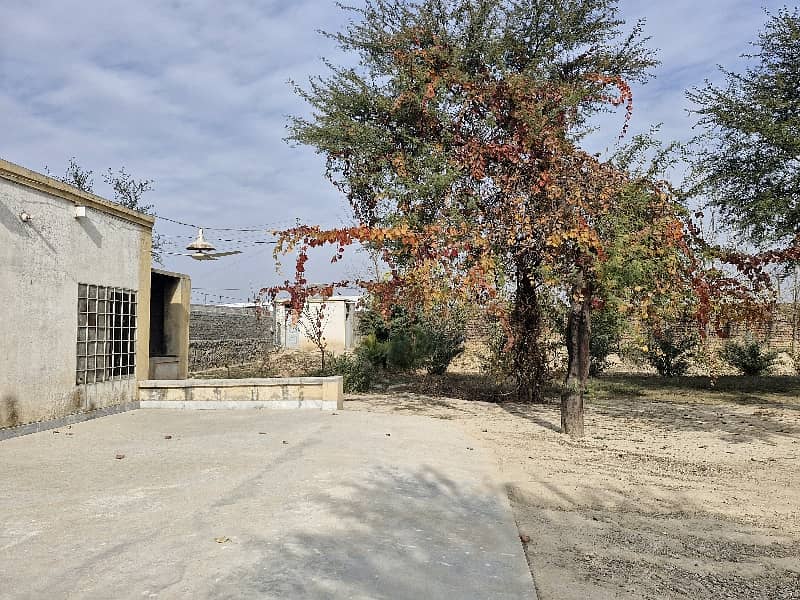 3 Kanal Warehouse/Yard Available For Rent 7