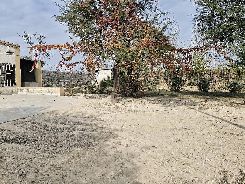 3 Kanal Warehouse/Yard Available For Rent 10