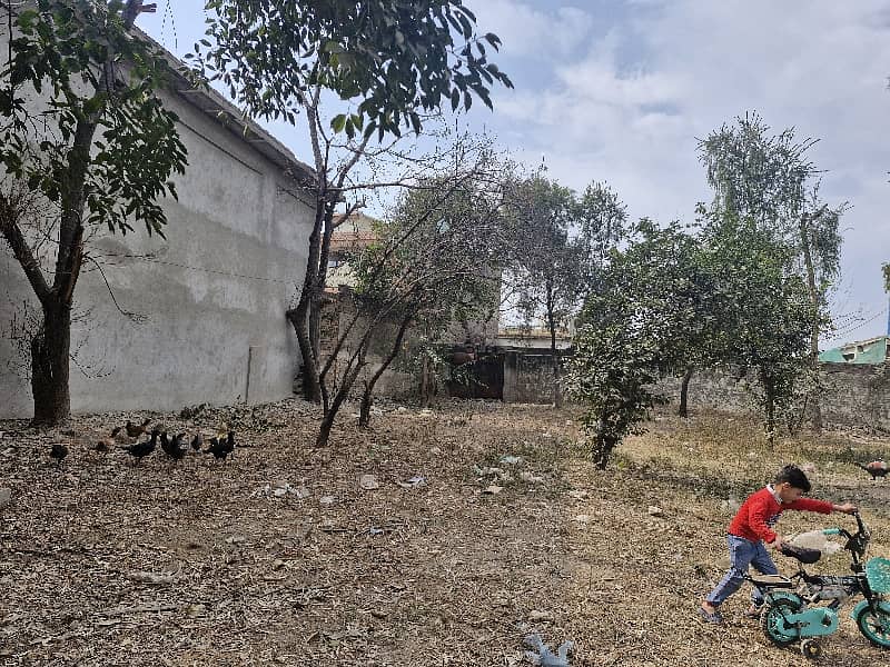 3 Kanal Warehouse/Yard Available For Rent 2