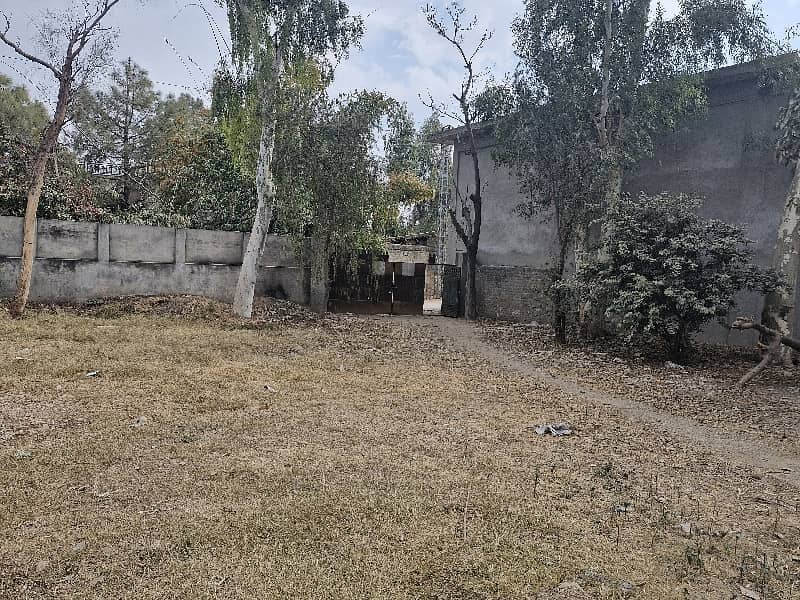 3 Kanal Warehouse/Yard Available For Rent 5