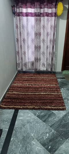 Living Room Rug. .
